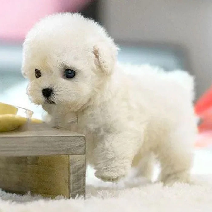 Interactive Realistic Robot Puppy Toy for Kids