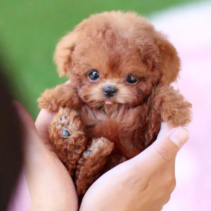 Interactive Realistic Robot Puppy Toy for Kids