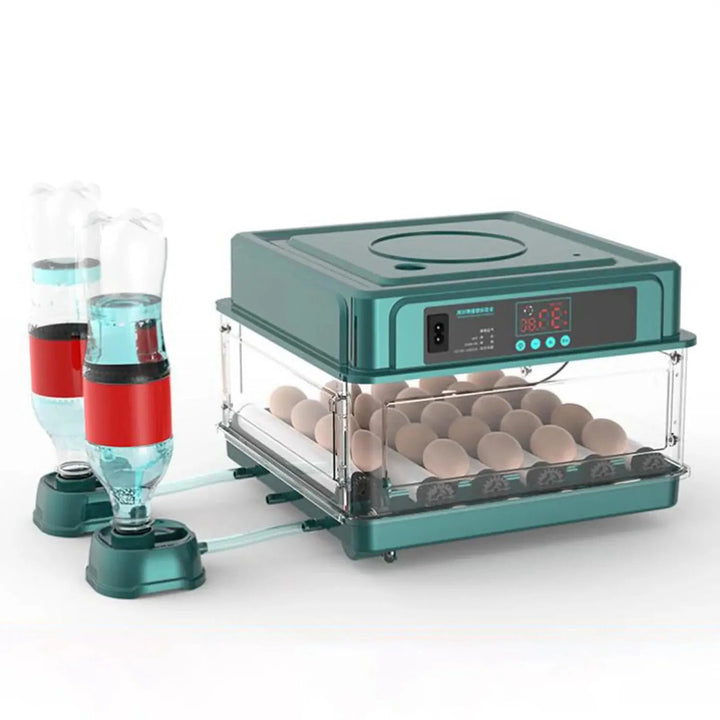 Digital Egg Incubator with Adjustable Tray, EU Plug & Turner for Hatching