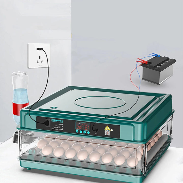 Digital Egg Incubator with Adjustable Tray, EU Plug & Turner for Hatching