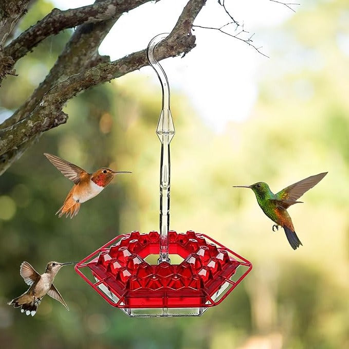 Ant-Proof Hummingbird Feeder with Outdoor Hanging Perch