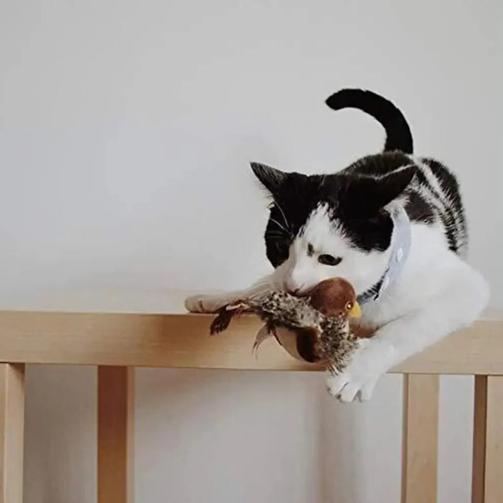 Interactive Sound Bird Toy - Flapping Feather Fun for Indoor Cats