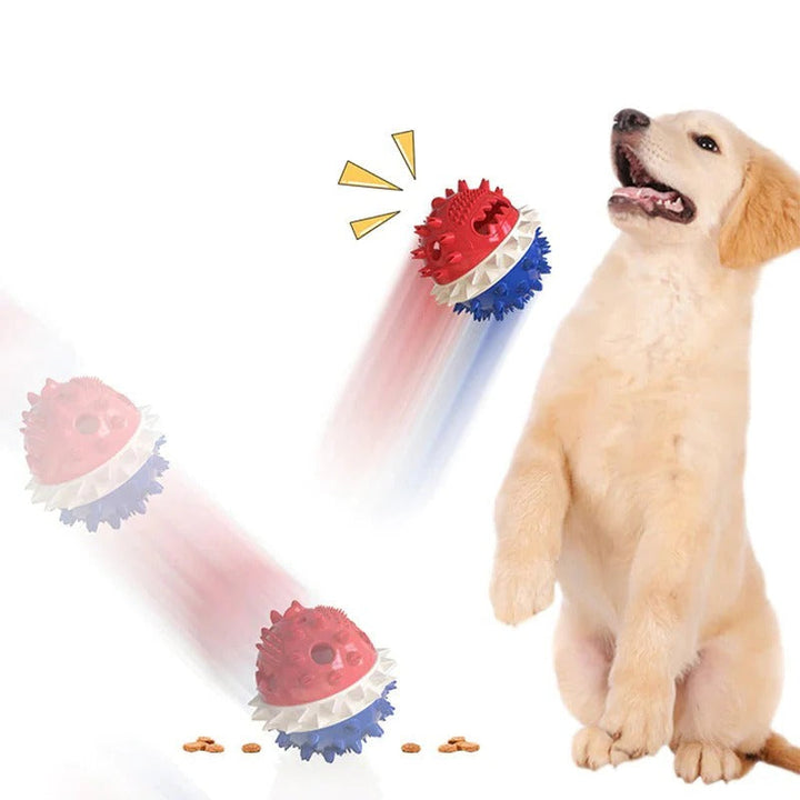 Interactive Automatic Pet Plaything