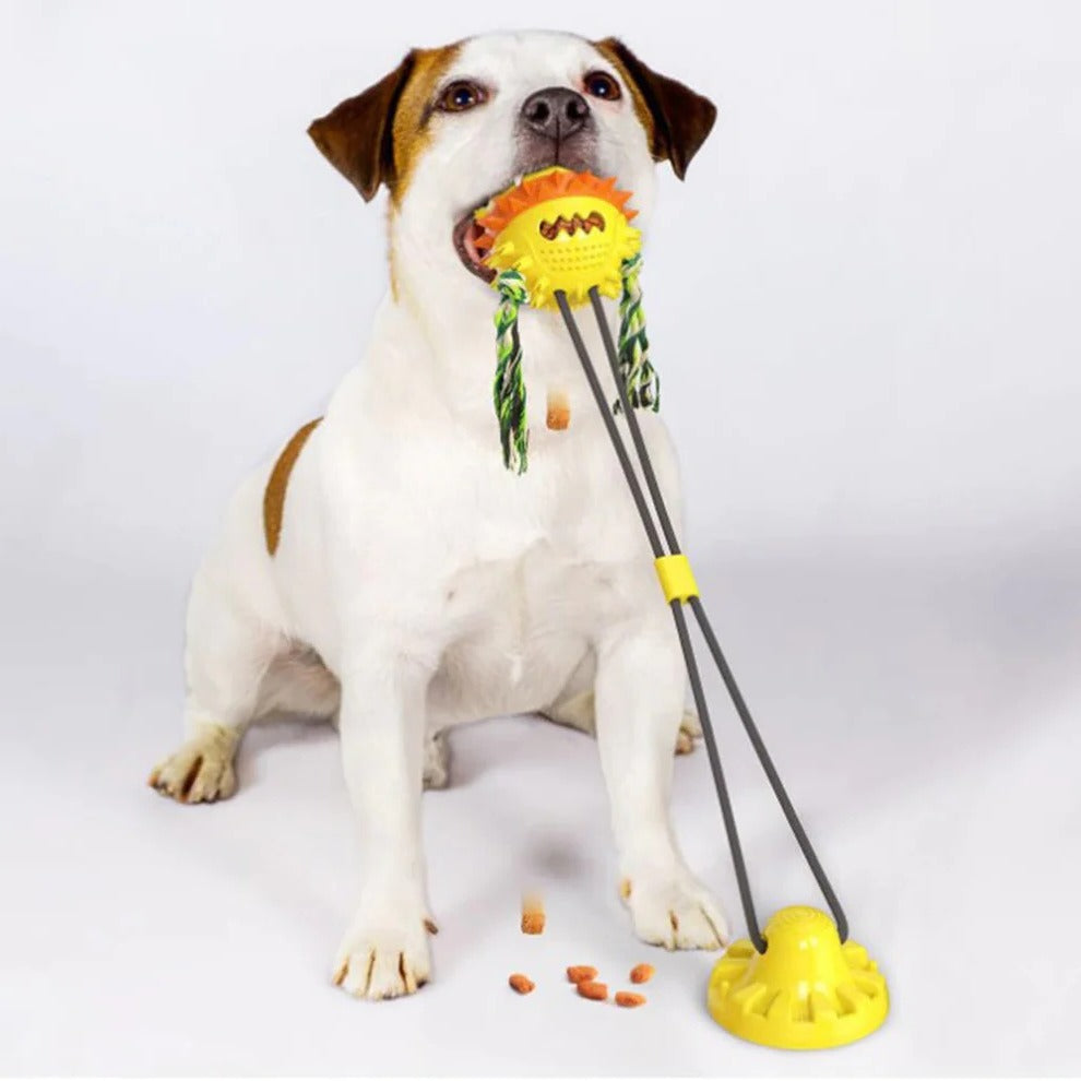 Interactive Automatic Pet Plaything