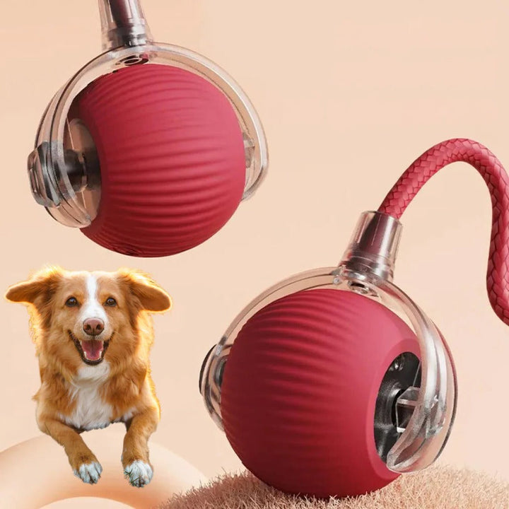 Interactive Rolling Ball Toy for Dogs with Tail