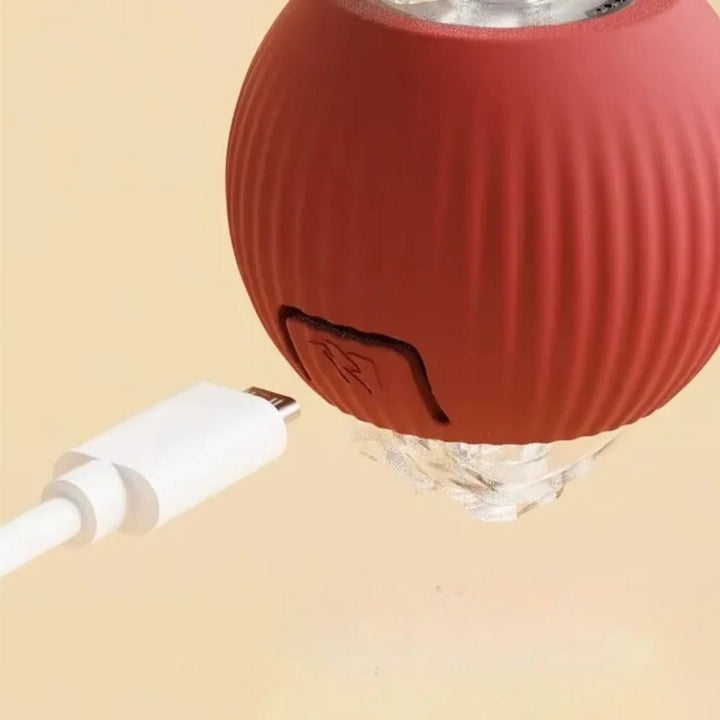 Interactive Rolling Ball Toy for Dogs with Tail