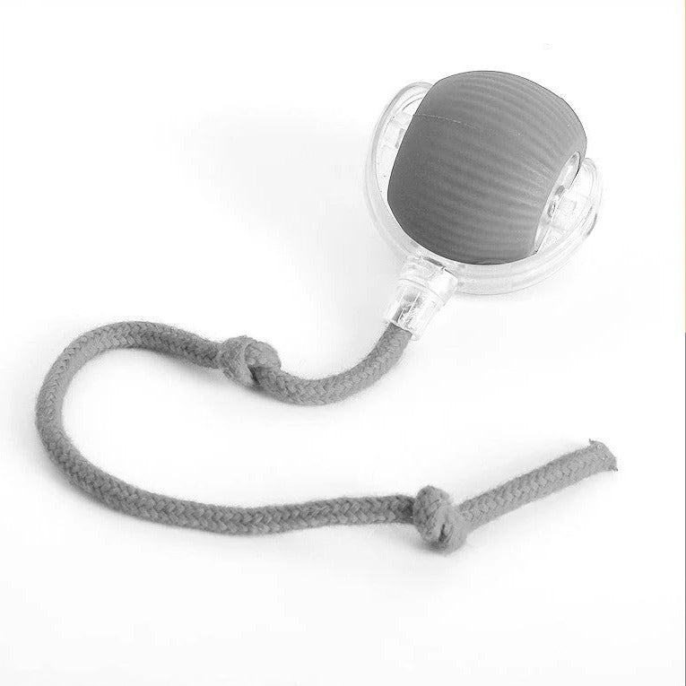 Interactive Rolling Ball Toy for Dogs with Tail