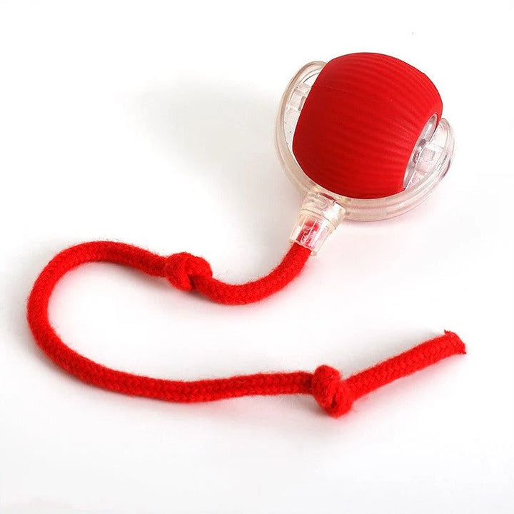 Interactive Rolling Ball Toy for Dogs with Tail