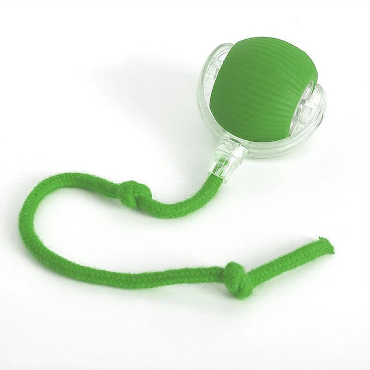 Interactive Rolling Ball Toy for Dogs with Tail