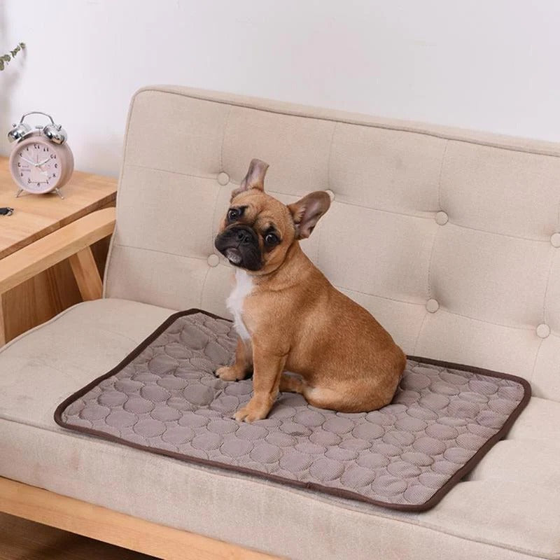 Pet Cooling Mat for Comfort and Relief