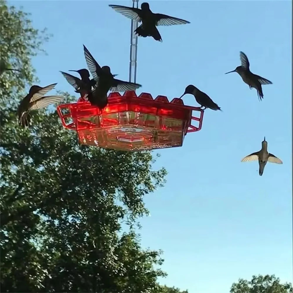 Ant-Proof Hummingbird Feeder with Outdoor Hanging Perch