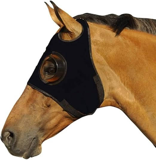 Horse Blinders for Enhanced Focus and Reduced Distractions