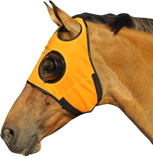 Horse Blinders for Enhanced Focus and Reduced Distractions