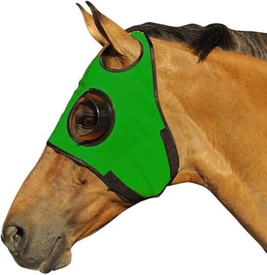 Horse Blinders for Enhanced Focus and Reduced Distractions