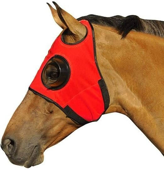 Horse Blinders for Enhanced Focus and Reduced Distractions
