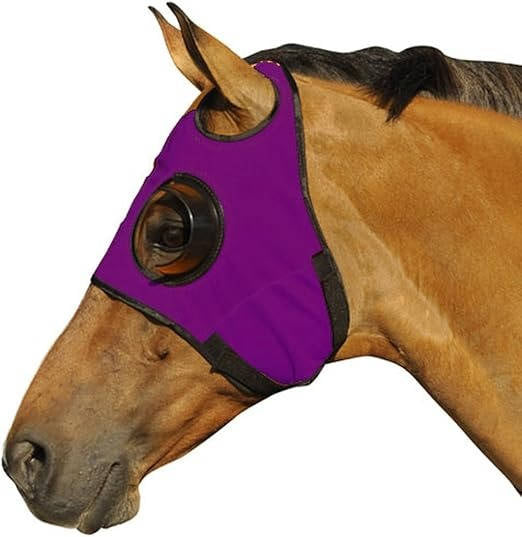 Horse Blinders for Enhanced Focus and Reduced Distractions