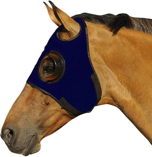 Horse Blinders for Enhanced Focus and Reduced Distractions