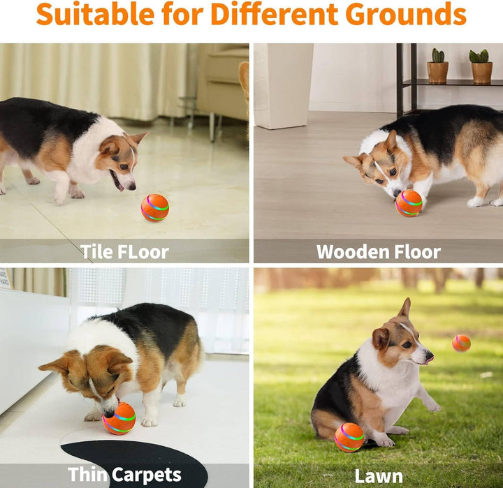Engaging Interactive Toy Ball for Dogs