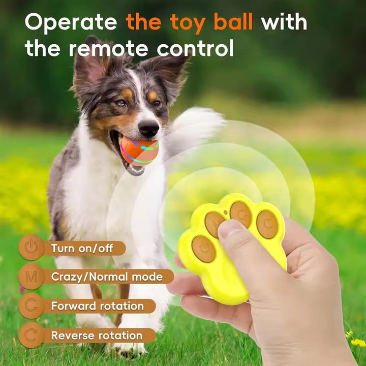 Engaging Interactive Toy Ball for Dogs