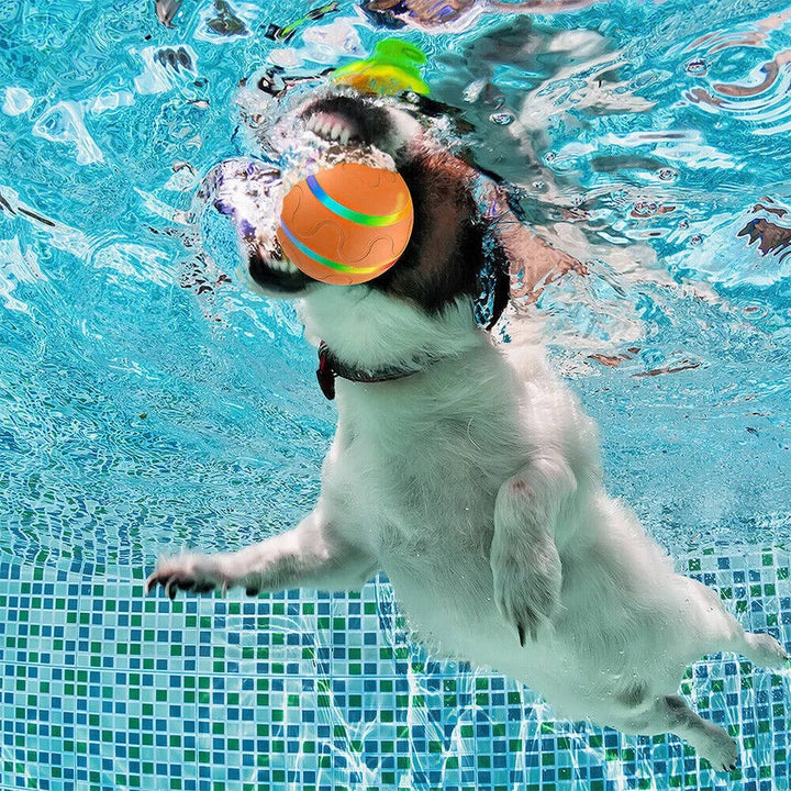 Engaging Interactive Toy Ball for Dogs
