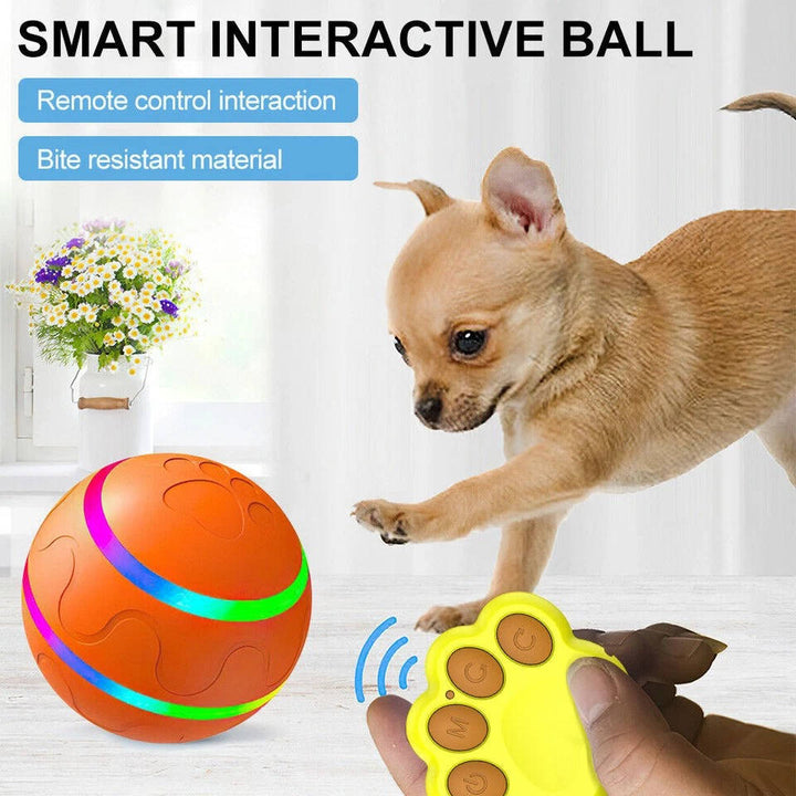 Engaging Interactive Toy Ball for Dogs