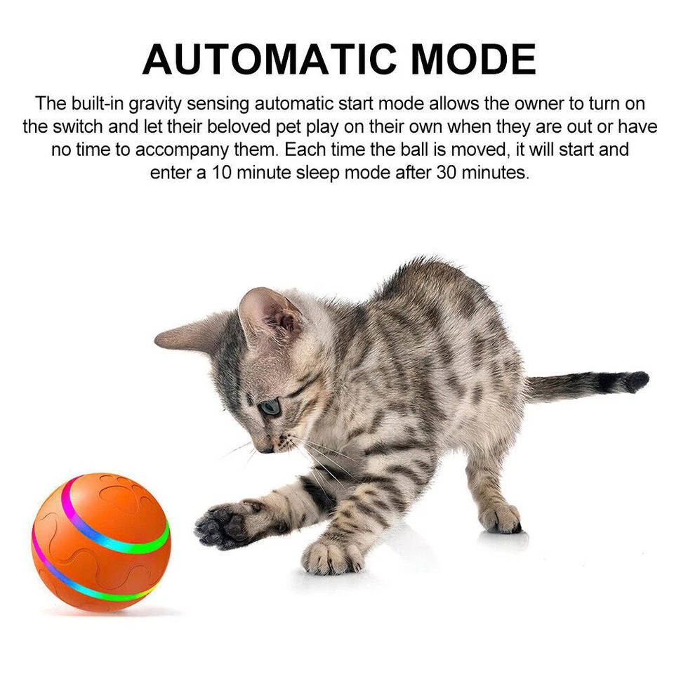 Engaging Interactive Toy Ball for Dogs