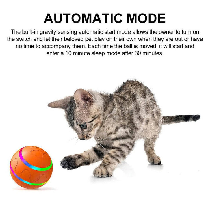 Engaging Interactive Toy Ball for Dogs