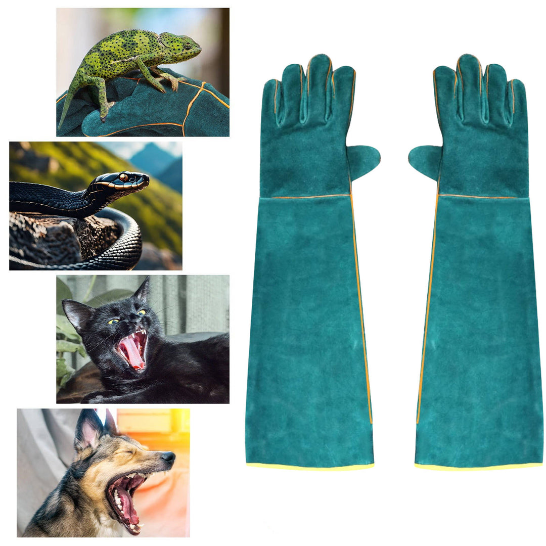 Protective Bite-Resistant Gloves for Safety and Comfort