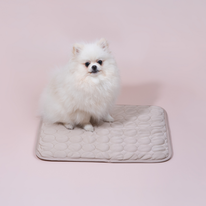 Innovative Cooling Mat for Dogs - 4x Cooling Power for Comfort-Orizon Depot