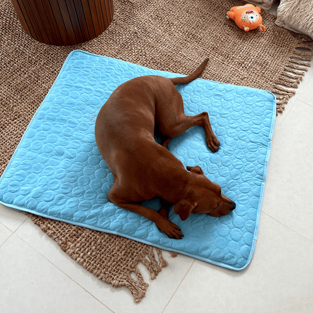 Innovative Cooling Mat for Dogs - 4x Cooling Power for Comfort-Orizon Depot