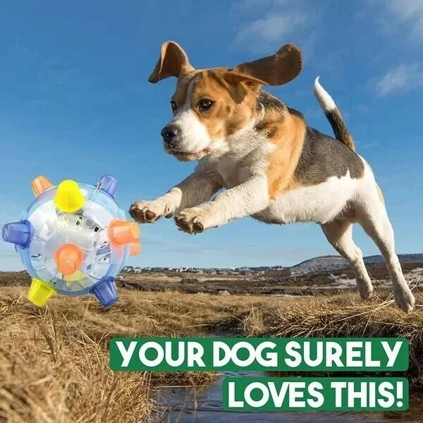 Interactive Jumping Ball Toy for Dogs