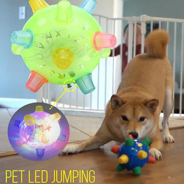 Interactive Jumping Ball Toy for Dogs