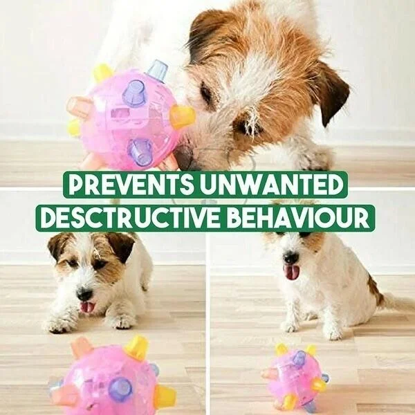 Interactive Jumping Ball Toy for Dogs