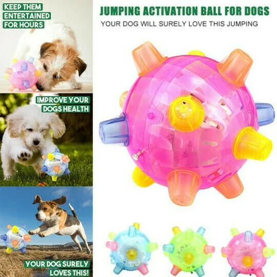 Interactive Jumping Ball Toy for Dogs