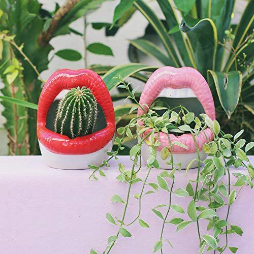 Flower Pot Lip Balm - Hydrating and Nourishing Lip Care-Orizon Depot