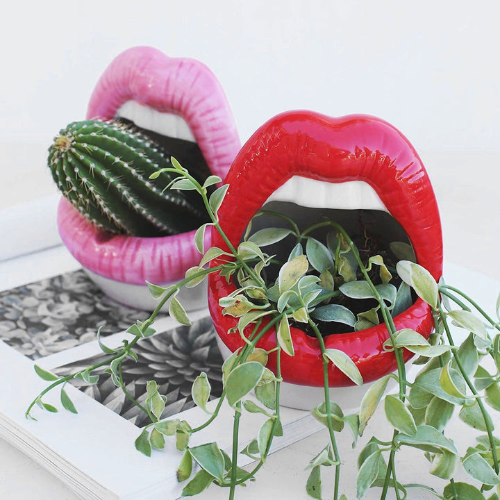 Flower Pot Lip Balm - Hydrating and Nourishing Lip Care-Orizon Depot