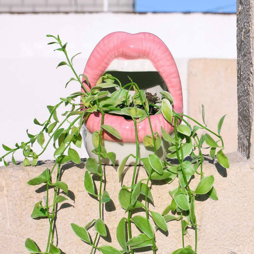 Flower Pot Lip Balm - Hydrating and Nourishing Lip Care-Orizon Depot