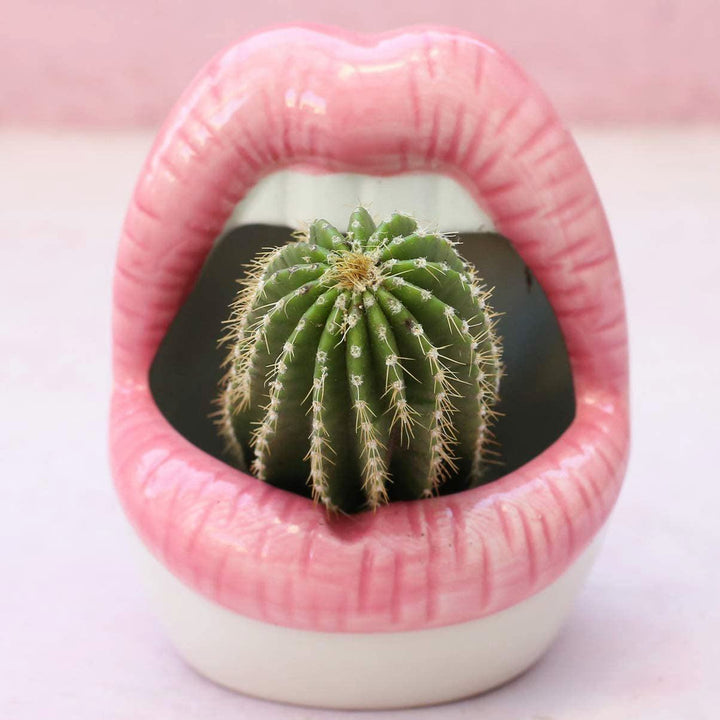 Flower Pot Lip Balm - Hydrating and Nourishing Lip Care-Orizon Depot