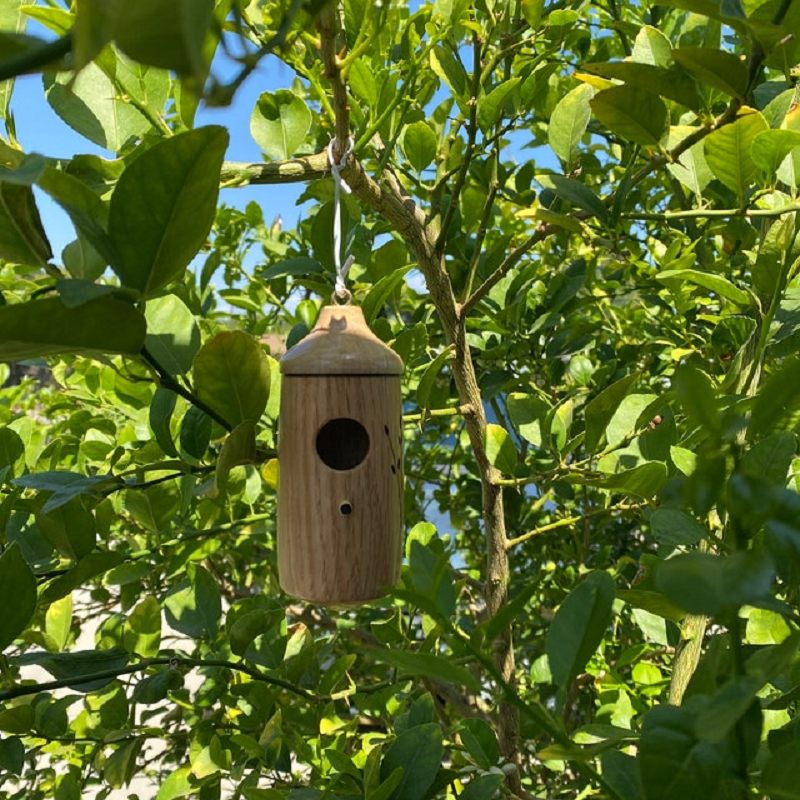Wooden Hummingbird House - Perfect Gift for Nature Enthusiasts