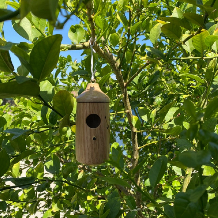 Wooden Hummingbird House - Perfect Gift for Nature Enthusiasts