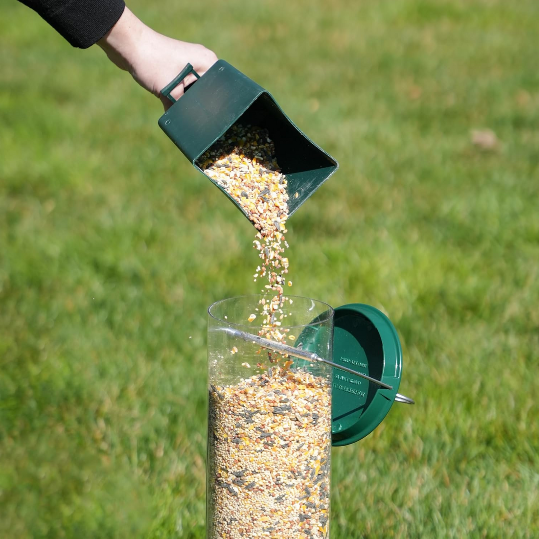 Squirrel-Resistant Bird Feeder for Backyard Birdwatching