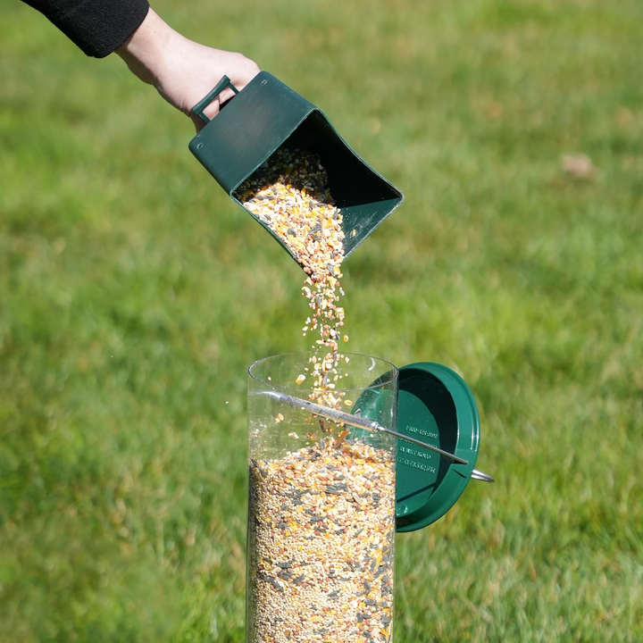 Squirrel-Resistant Bird Feeder for Backyard Birdwatching