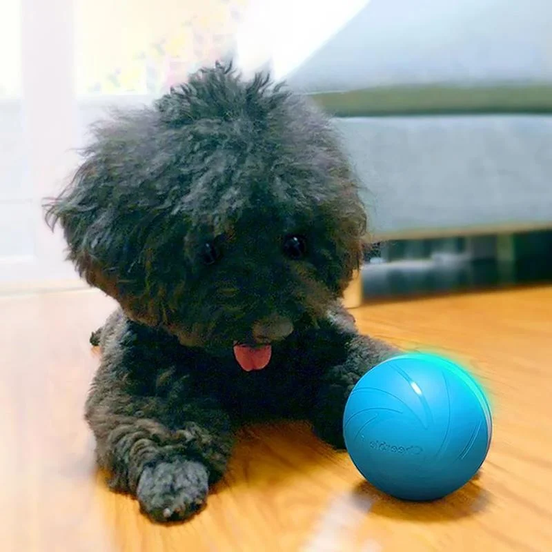 Interactive Pet Motion Toy for Engaging Playtime