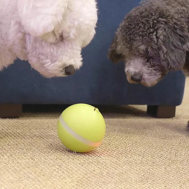 Interactive Pet Motion Toy for Engaging Playtime