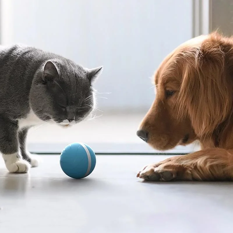 Interactive Pet Motion Toy for Engaging Playtime