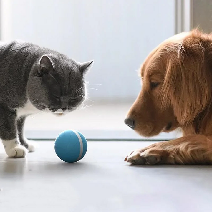 Interactive Pet Motion Toy for Engaging Playtime
