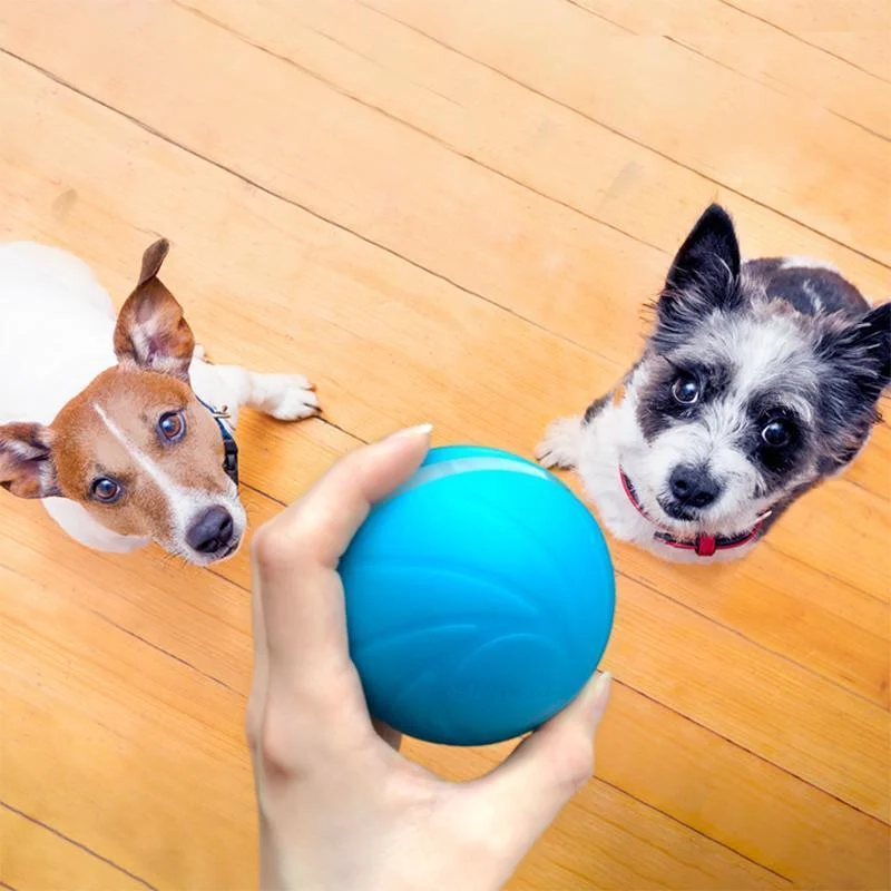 Interactive Pet Motion Toy for Engaging Playtime