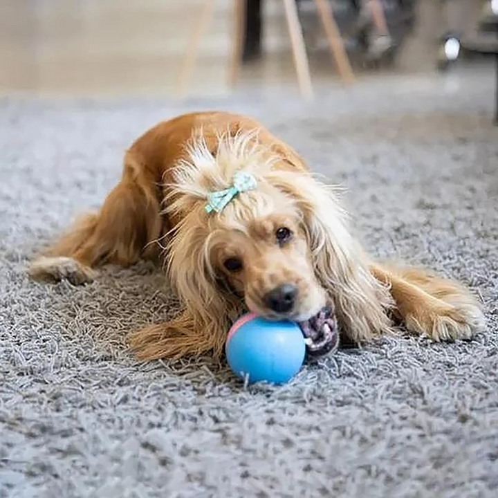 Interactive Pet Motion Toy for Engaging Playtime