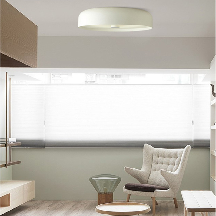 Retro Minimalist LED Ceiling Light | Stylish Flush Mount Fixture