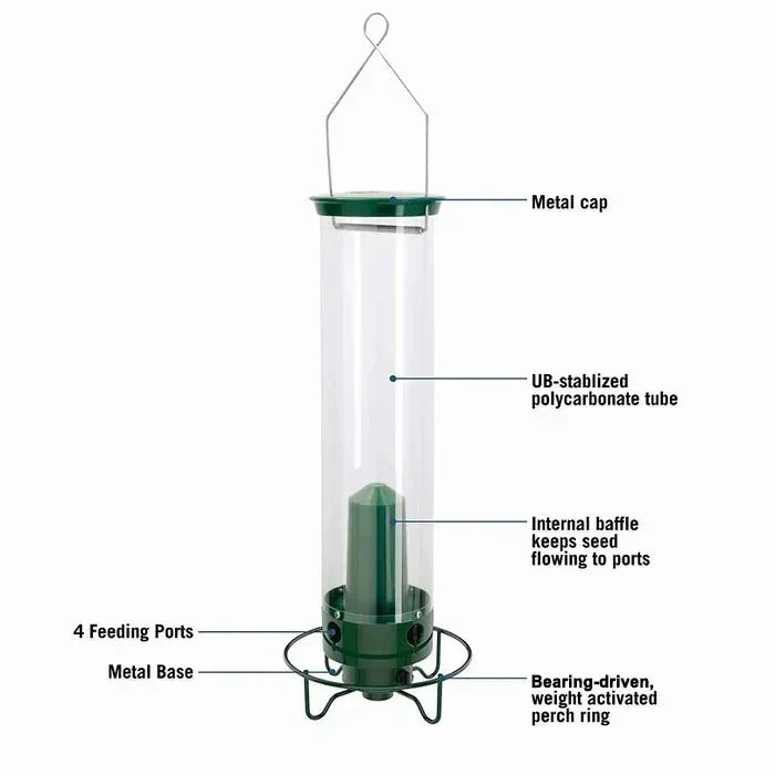 Squirrel-Resistant Bird Feeder for Backyard Birdwatching